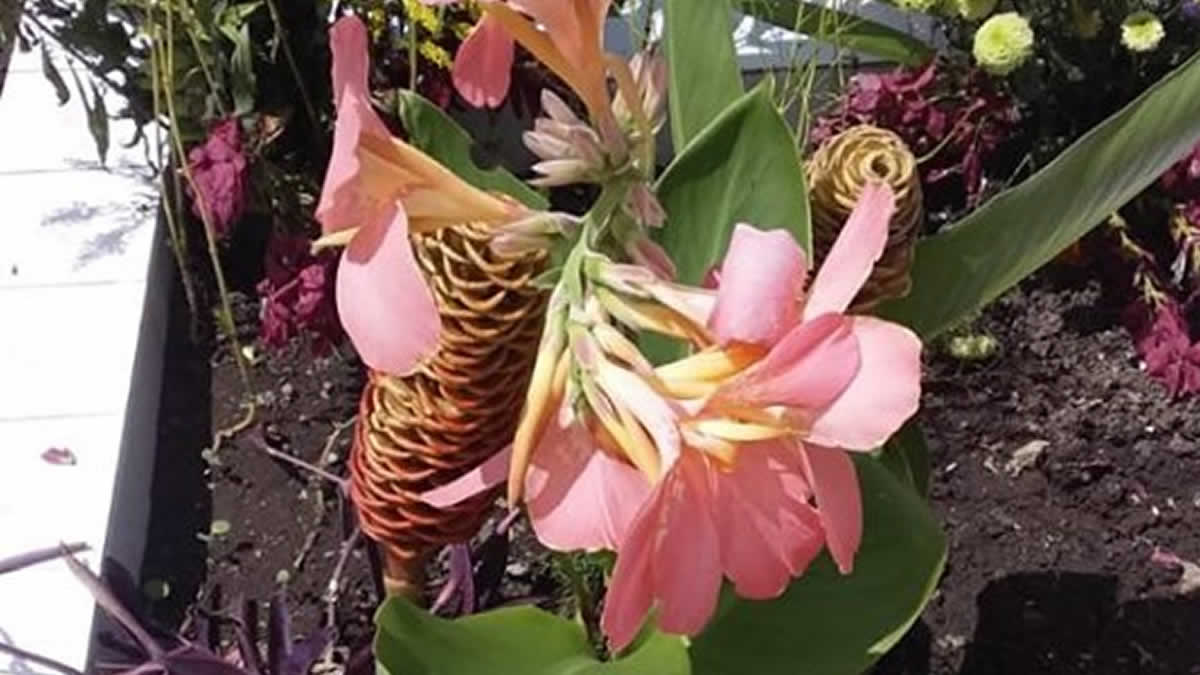 Somoteños visitan los campos santos en el Día de Muertos