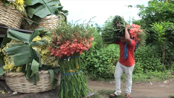 Vendedores Masaya economía país