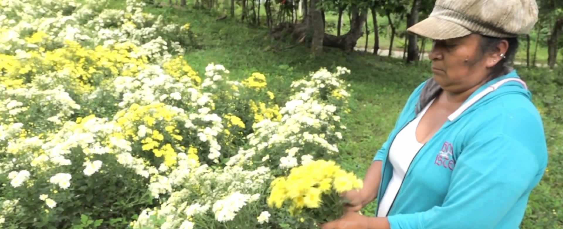 Vendedores de flores en Masaya dinamizan la economía del país