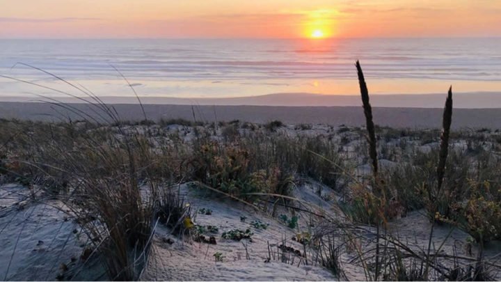 Francia playas kilos cocaína