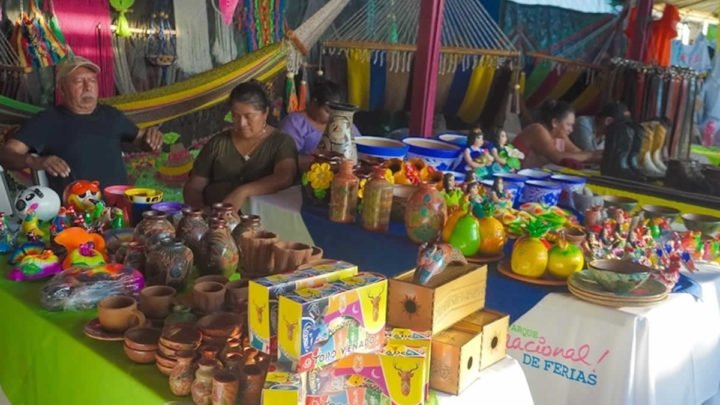 exposición artesano parque feria