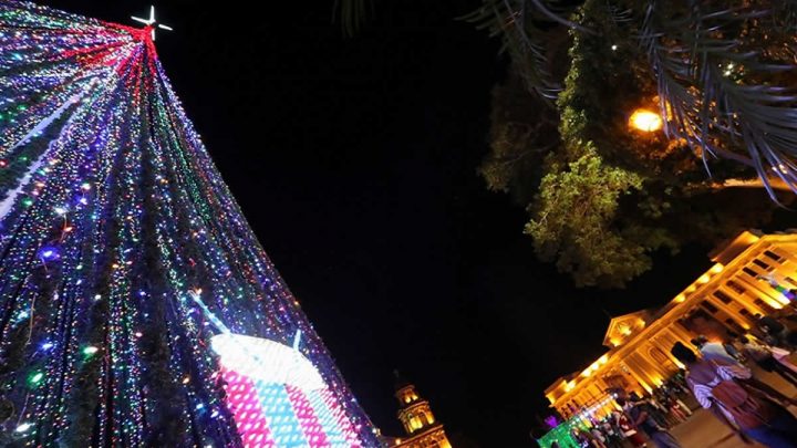 familias árbol navidad