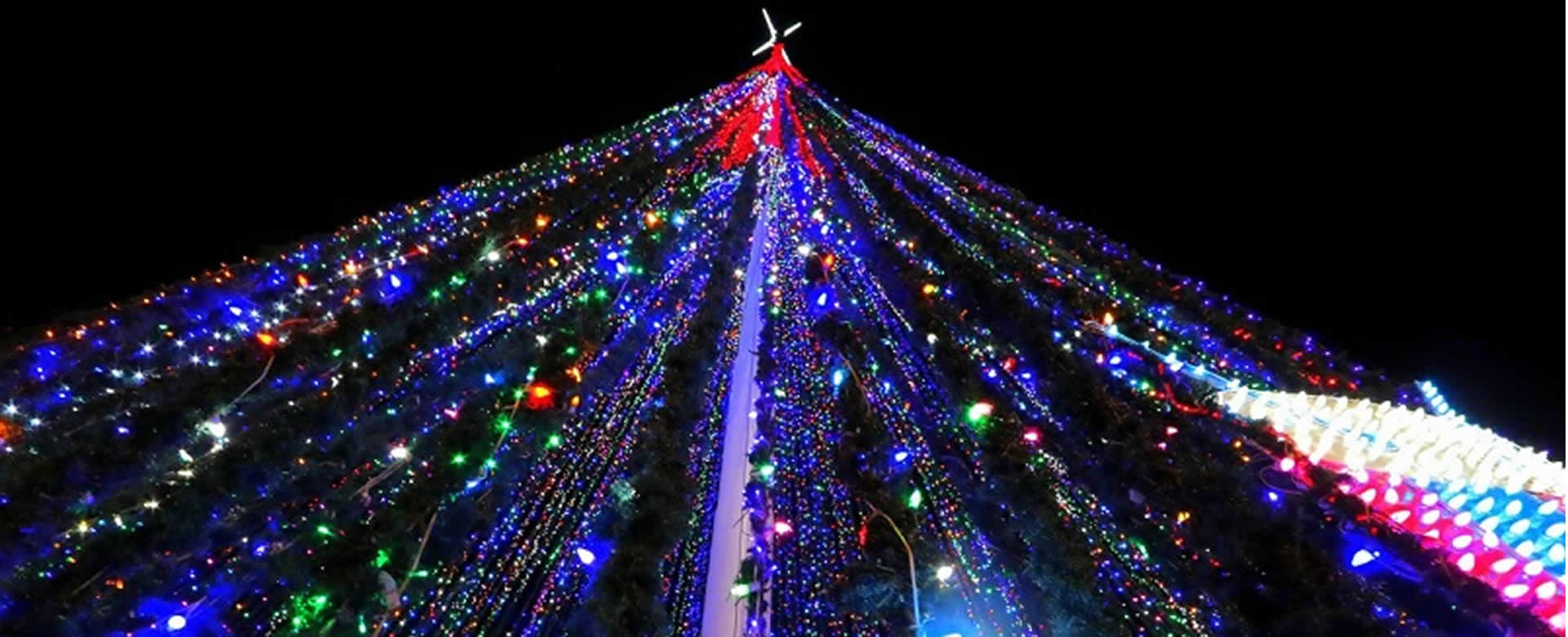 Familias encienden el árbol de Navidad más grande del país