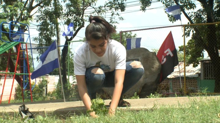 jóvenes árboles carlos fonseca