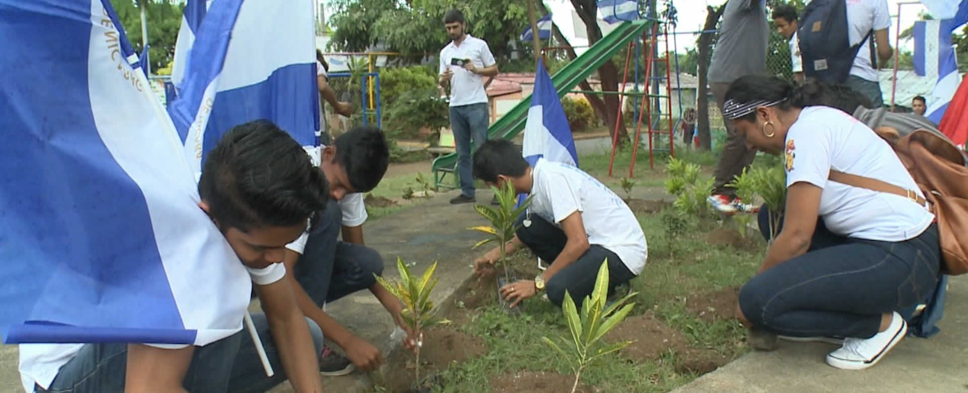 Jóvenes siembran más de 200 árboles en homenaje a Carlos Fonseca