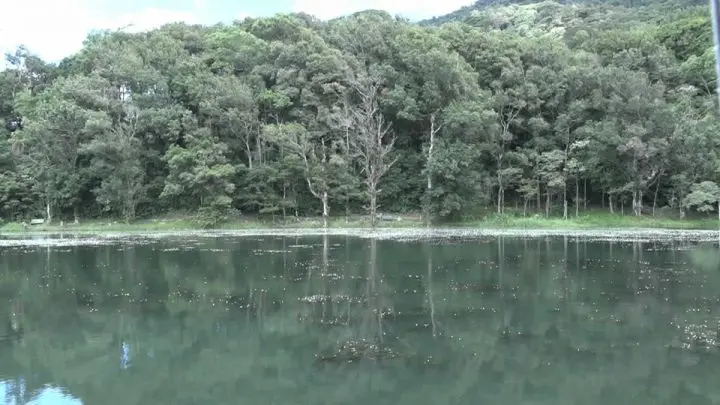 MARENA E INAFOR continúan en la conservación de bosques naturales