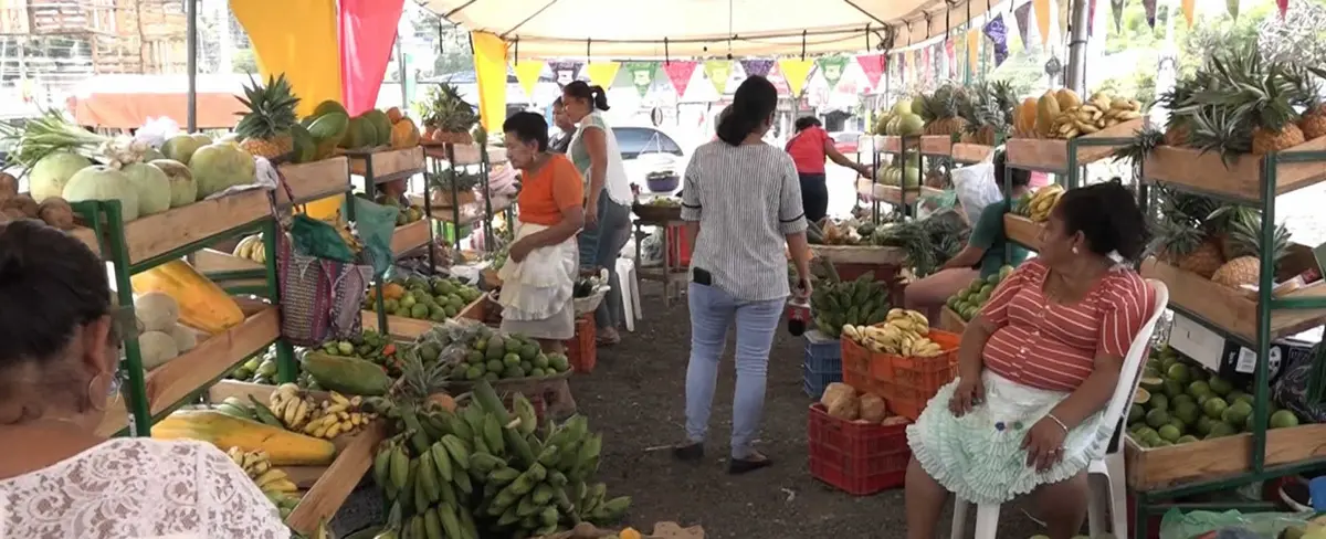Mercadito Campesino tiene favorables precios para la gritería