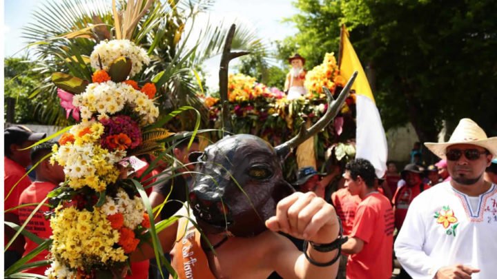 torovenado malinche alegría costumbres