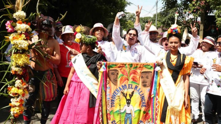 torovenado malinche alegría costumbres