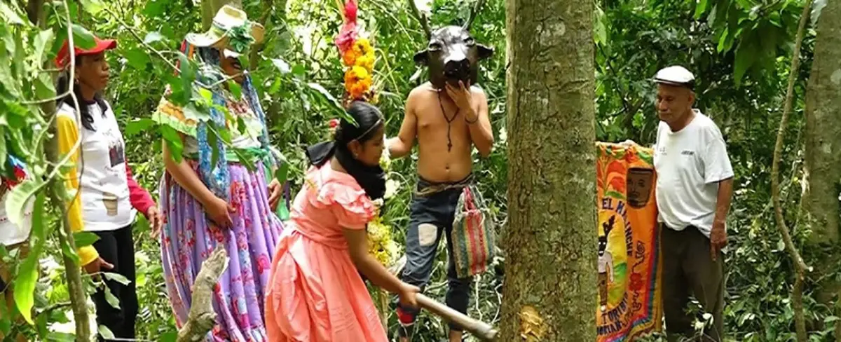 Torovenado El Malinche cortó su tradicional palo de aceituno