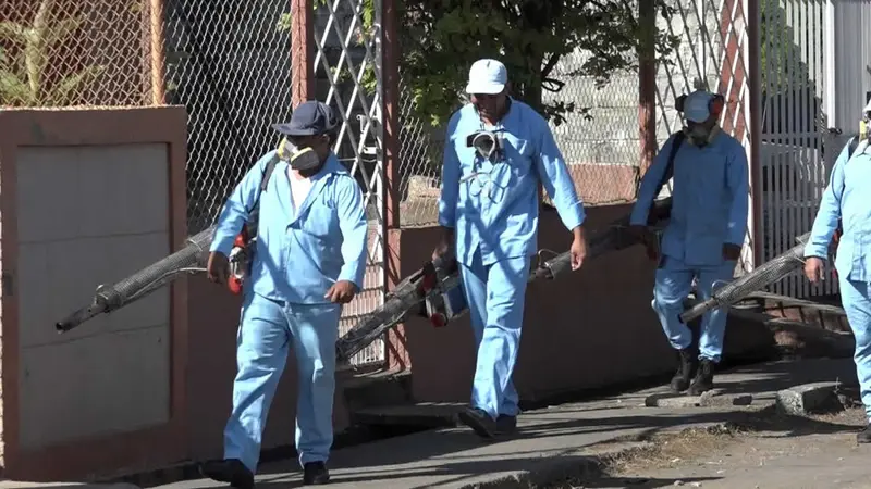 Familias de la Colonia 14 de septiembre abren sus puertas para fumigar