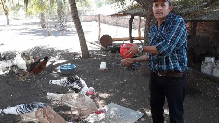 Don Marvin Narváez crea hogar para animales exóticos en Chinandega