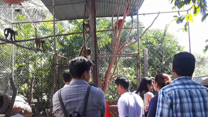 Don Marvin Narváez crea hogar para animales exóticos en Chinandega