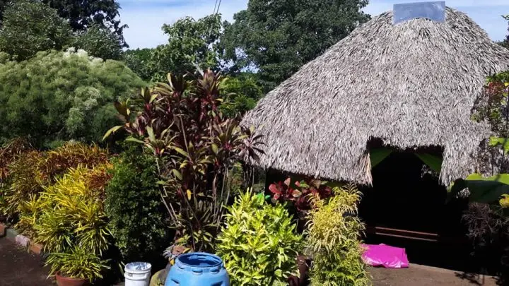Don Marvin Narváez crea hogar para animales exóticos en Chinandega