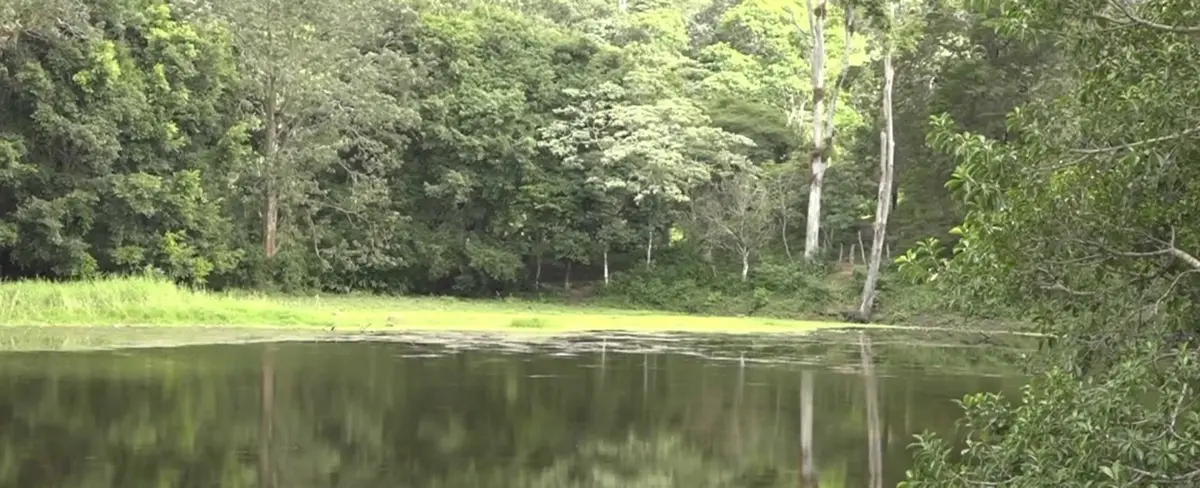 Parque Ecológico Cerro Cantagallo, un destino para visitar este fin de semana