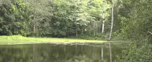 Parque Ecológico Cerro Cantagallo, un destino para visitar este fin de semana