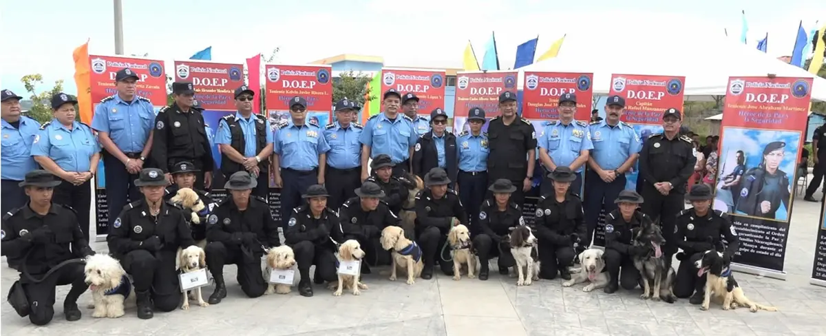 Técnica canina de la Policía Nacional continúa fortaleciéndose
