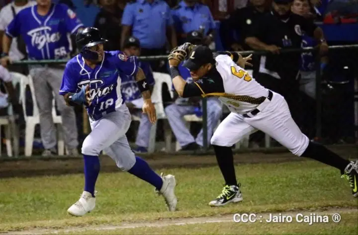 Leones de León a un paso de coronarse campeones