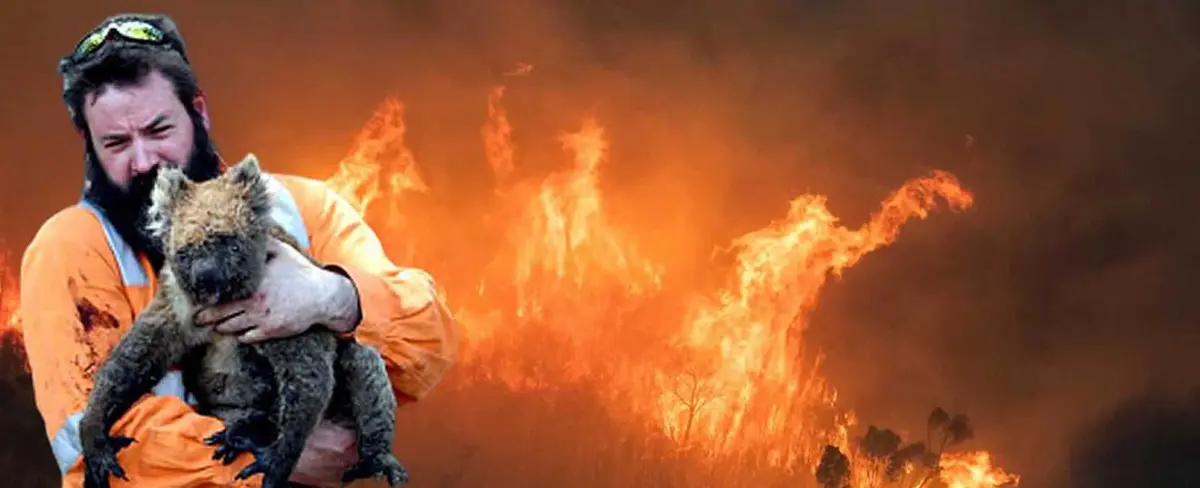 Incendios en Australia provocan la muerte mil millones de animales