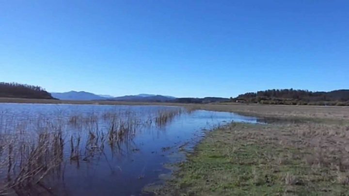 Lago Peñuelas de Chile corre el riesgo de secarse en marzo de este año