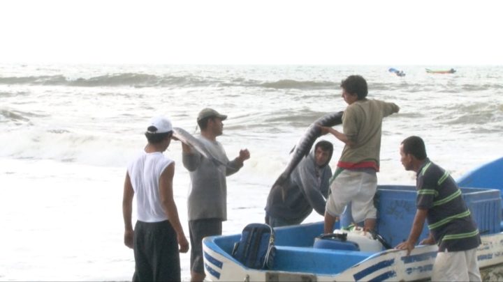 Nicaragua con notable crecimiento en la producción pesquera