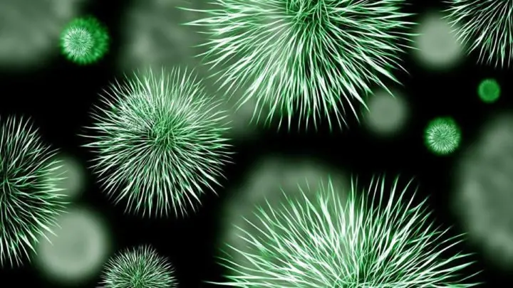 China sufre afectaciones por virus de neumonía contagiosa
