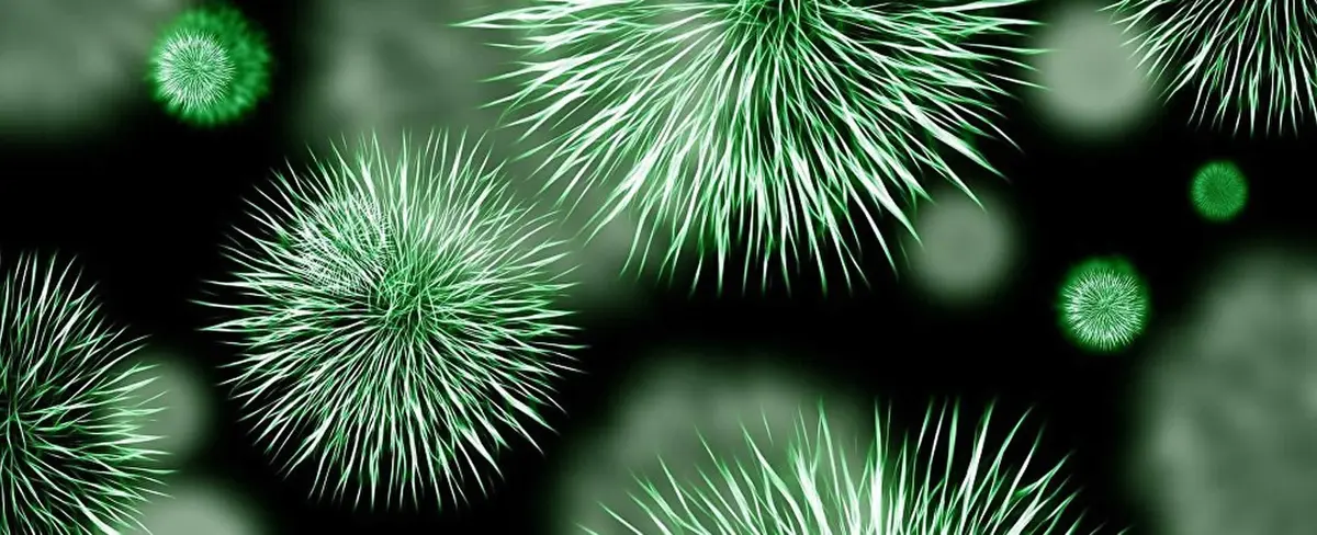 China sufre afectaciones por virus de neumonía contagiosa