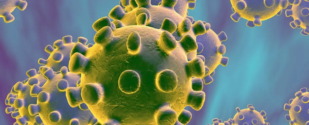 Coronavirus, sus síntomas y formas de transmisión