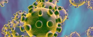 Coronavirus, sus síntomas y formas de transmisión