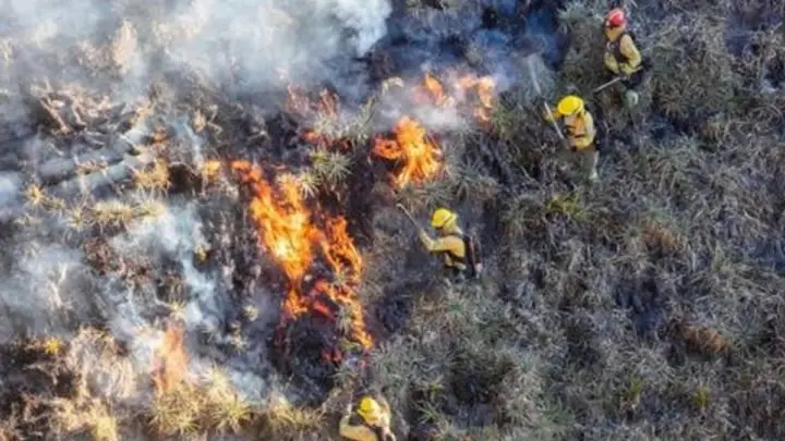 Ecuador: Continúan trabajos para apagar incendio al norte del país