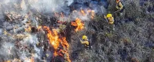 Ecuador: Continúan trabajos para apagar incendio al norte del país