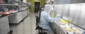 Autoridades de Emiratos Árabes confirman primer caso de Coronavirus