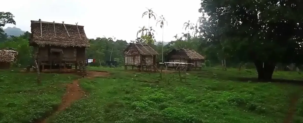 Instituto Nacional Forestal proyecta 55 arboretums para el 2020