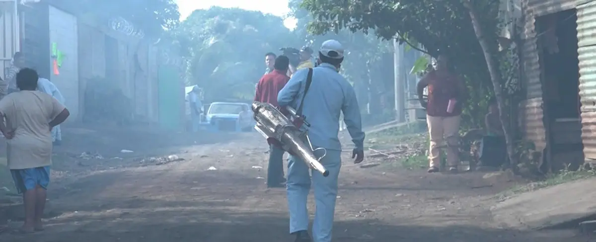 Lucha para erradicar mosquito transmisor de epidemias continúa en Managua