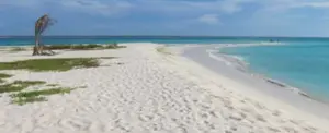 Venezuela: Se registra sismo de magnitud 4.1 en isla La Tortuga