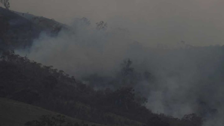 Fuertes lluvias en Australia representan un respiro contra incendios forestales
