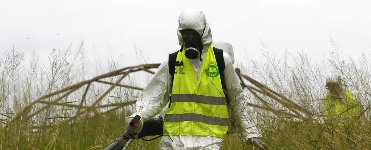 Argentina: alertas por el coronavirus, descuidando la verdadera preocupación, el dengue y el sarampión