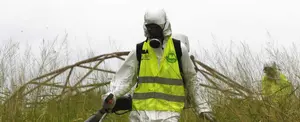Argentina: alertas por el coronavirus, descuidando la verdadera preocupación, el dengue y el sarampión