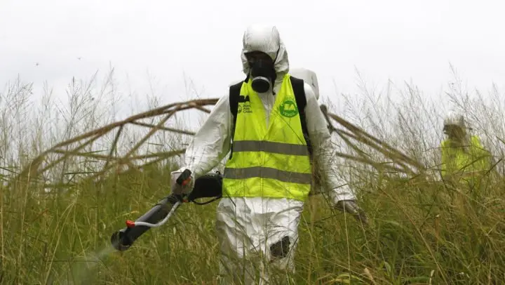 Argentina: alertas por el coronavirus, descuidando la verdadera preocupación, el dengue y el sarampión
