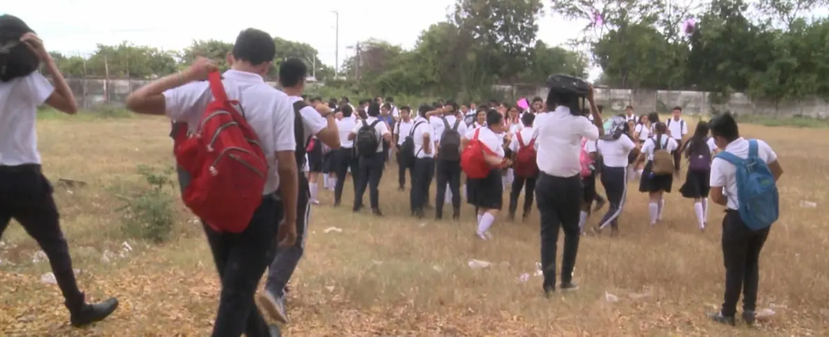Managua: Colegio Miguel Bonilla realiza simulacro de ataque de abejas africanas