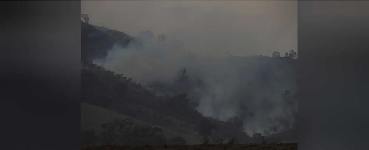 Fuertes lluvias en Australia representan un respiro contra incendios forestales