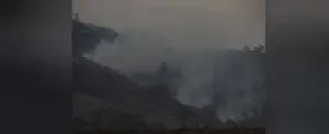 Fuertes lluvias en Australia representan un respiro contra incendios forestales