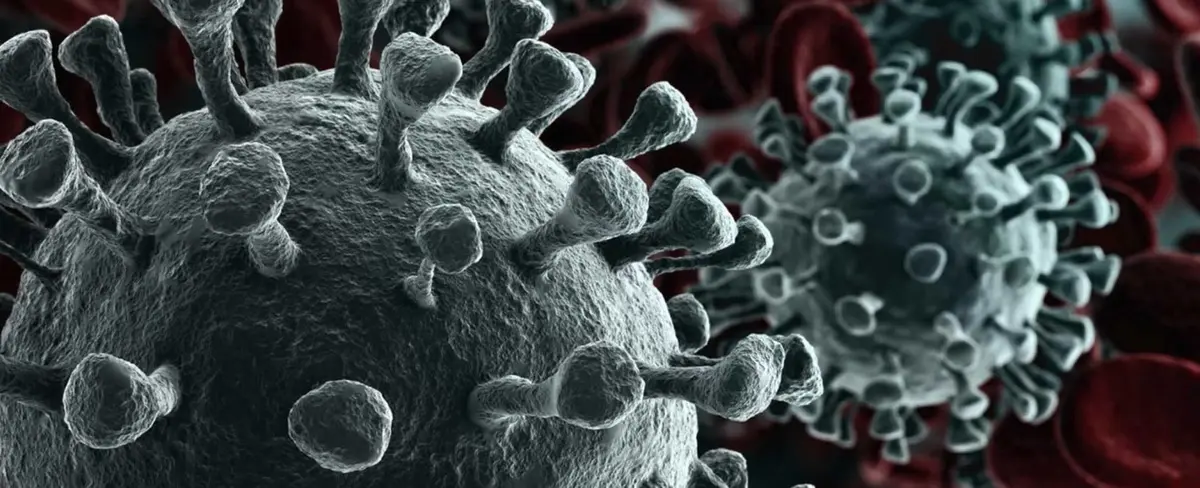 MINSA informa aumento de casos confirmados por coronavirus en China