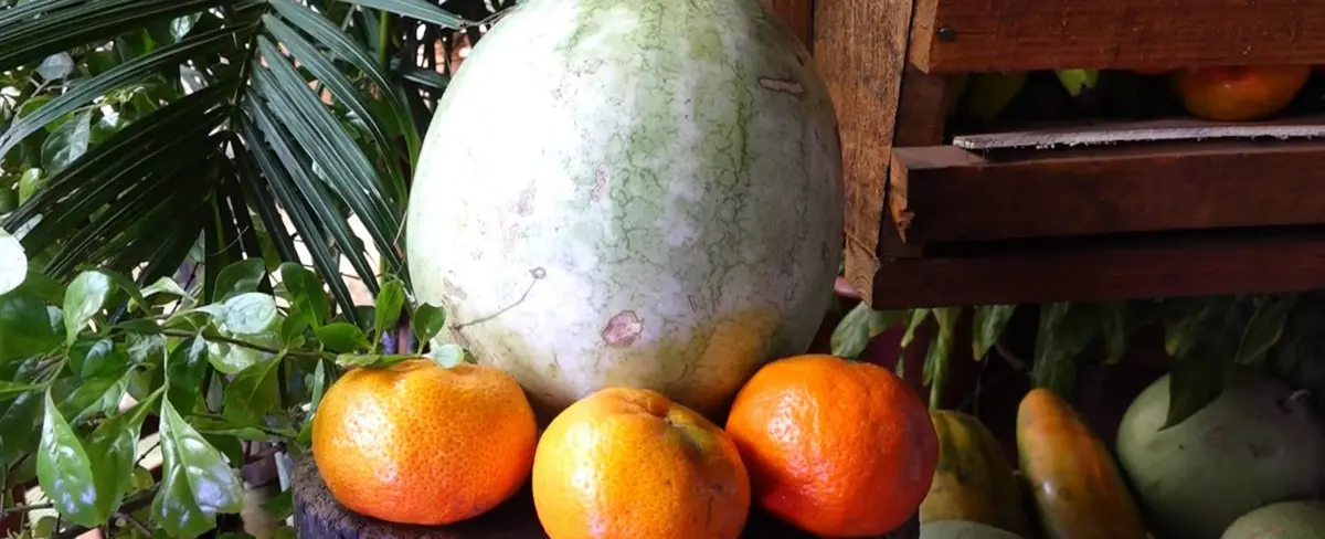 Feria de Frutas y Verduras “El Campo en la Ciudad”