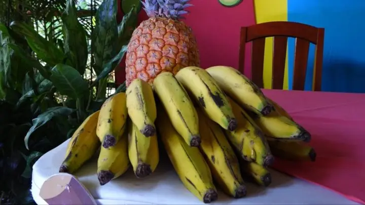 Feria de Frutas y Verduras “El Campo en la Ciudad”