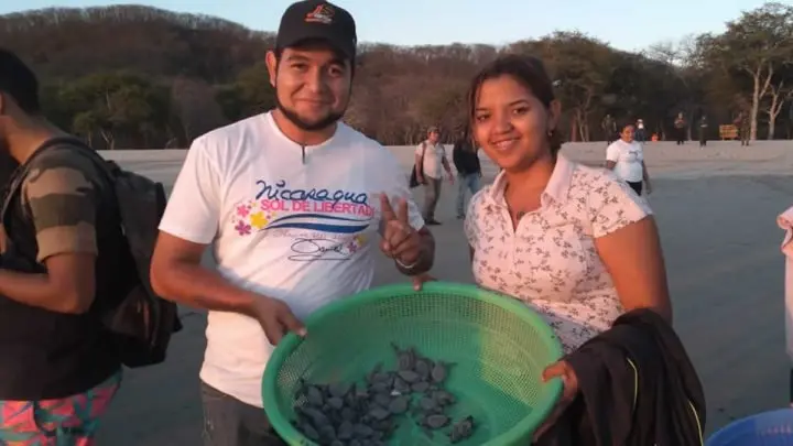 Movimientos ambientalista guardabarranco liberan tortuguillos en la flor