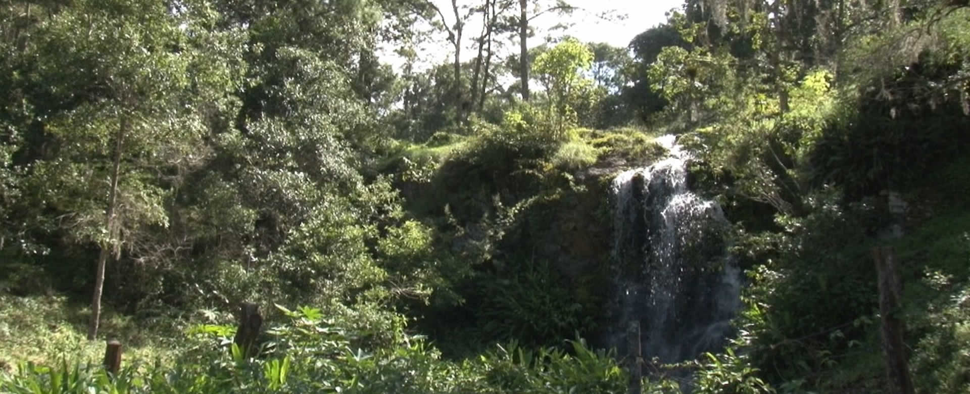 Nicaragua contará con nuevos parques ecológicos