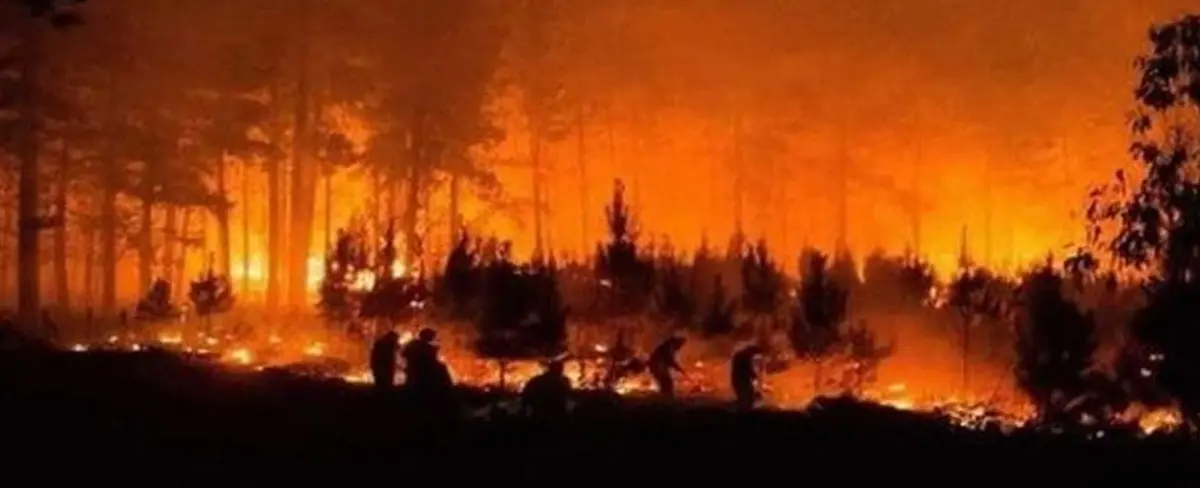 Chile: Más de 12 mil hectáreas afectadas por incendio forestal
