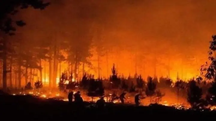 Chile: Más de 12 mil hectáreas afectadas por incendio forestal