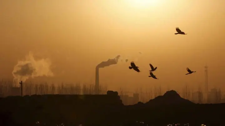 Registran disminución en los niveles de contaminación en China